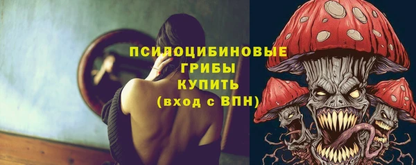 apvp Беломорск