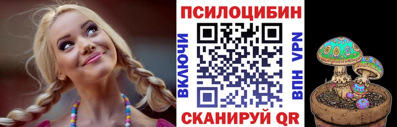 Купить  Городовиковск  Псилоцибиновые грибы Magic Shrooms 